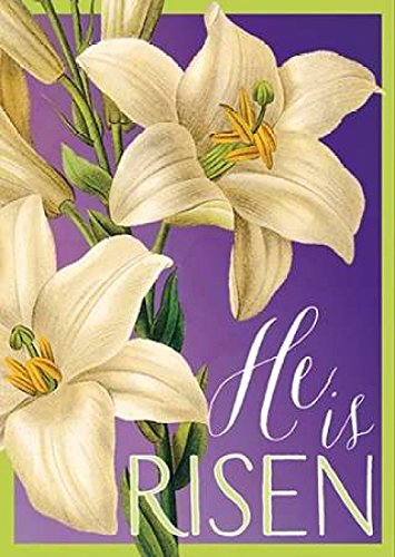 He is Risen Poster Print by Tammy Apple (9 x 12)