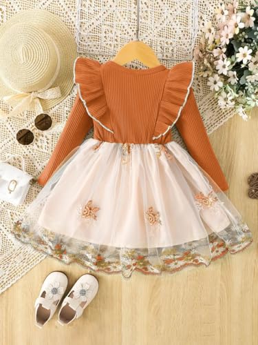 Image of Tagas Girls' Princess Dress for Girls ||Fancy Dress|| Birthday Frock for Girl