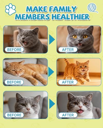 Lysin Katze - L-Lysin Tropfen für Katzen und Kätzchen, Kätzchen Immunsystem, Schnupfen, Linderung von Allergien, Niesen, Nahrungsergänzungen mit Vitaminen und Mineralien, Kolostrum, Taurin