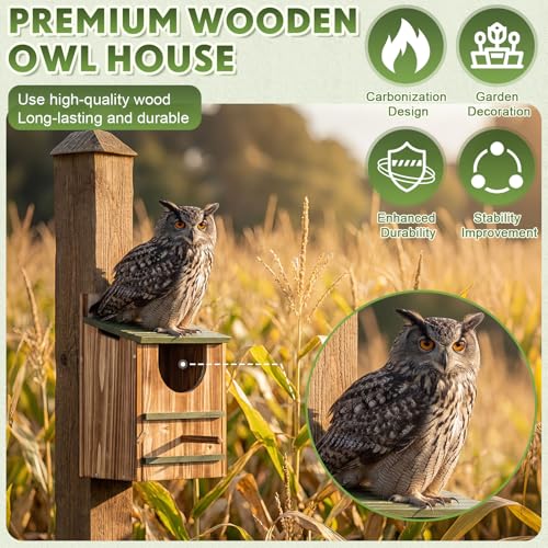 ElaraBerry Owl Houses for Outdoors with Bird Stand 14.5×9×7.5 Inch Owl Nesting Box Weather-Resistant Carbonized Cedar Prebuilt Bird Box for Wildlife Lovers Garden Decoration with Mounting Accessories