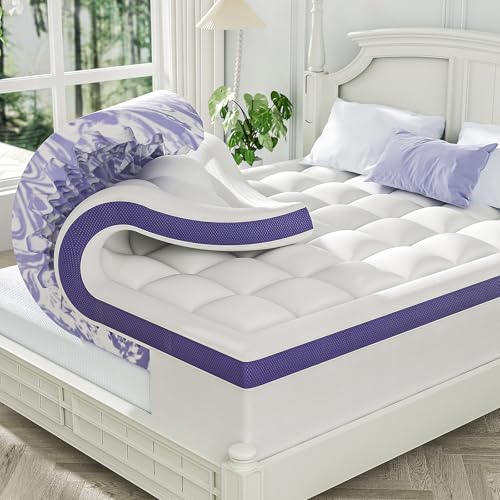 ChiXpace Dual Layer 4 Inch Memory Foam Mattress Topper Queen...