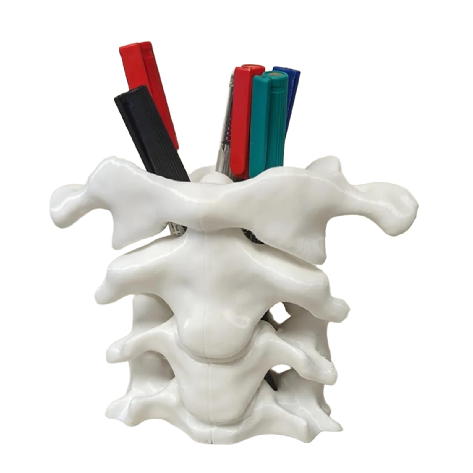 Portapenne a Colonna Vertebrale Stampato in 3D - Organizer da Scrivania per Penne - Regali per la Laurea in Medicina,Bianca,10cm