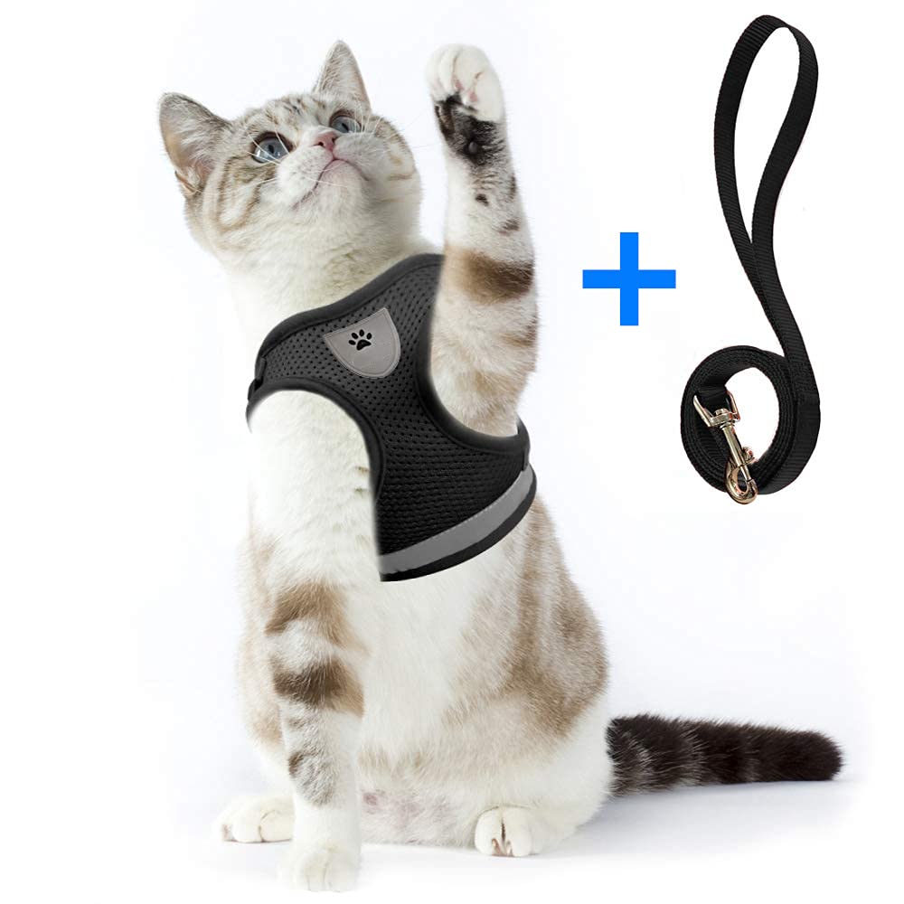 Arnés Chaleco Ajustable Para Gatos - Tallas S M L