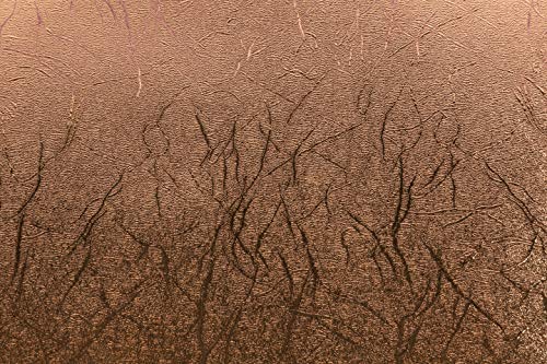 Cricut Permanent Vinyl - Textured Metallic, Copper - 4ft Roll (12'x48') - image 2