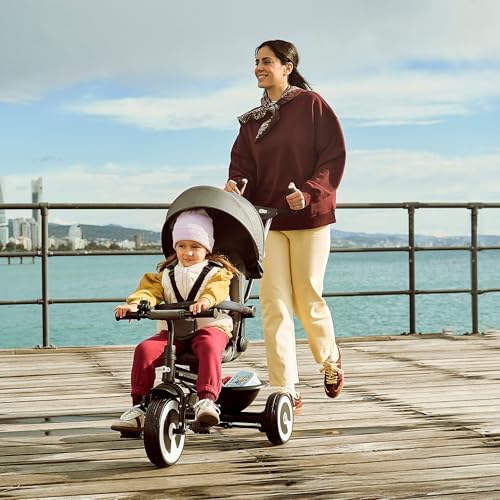 Miniatura 2 de Kinderkraft Aston 2 Pro Triciclo Evolutivo, Bicicleta Sin Pedales, Bicicleta Bebe, para Niños, Cinturón, con Accesorios, Portavasos, Cesta, 9 Meses a 25 kg, Gris