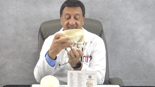 Image of Doctor Verified 55 Number Labeled Real Human Life Size Skull Anatomy Model, 1:1 Full Size Anatomical Correct Realistic Skull Model for Studying, Medical Students