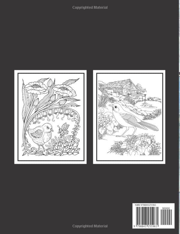 Songbirds Coloring Book: An Adult Coloring Book Featuring Beautiful Songbirds, Exquisite Flowers and Relaxing Nature Scenes (Bird Coloring Books) image 3