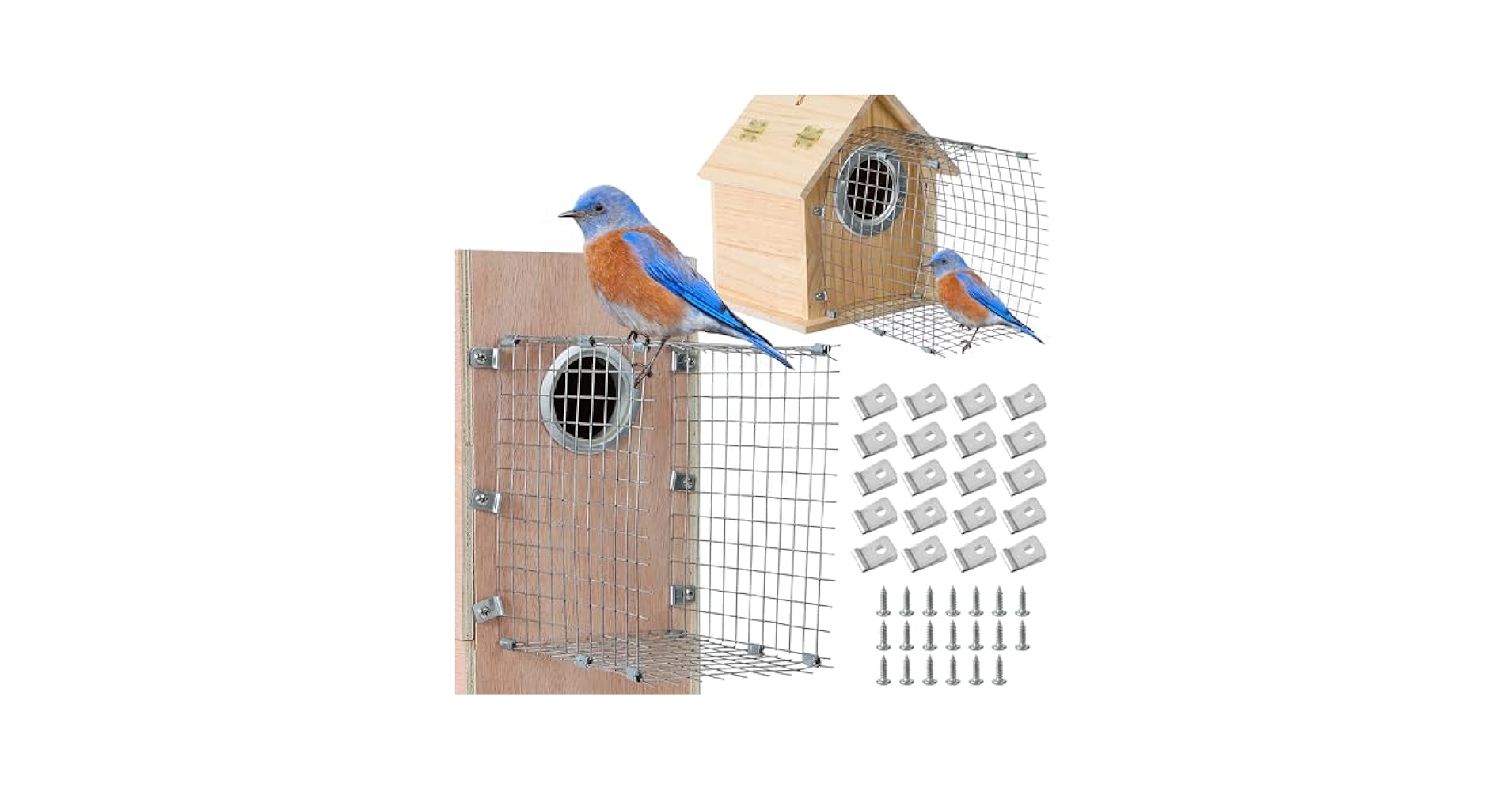 How to Keep Snakes Out of Bluebird House