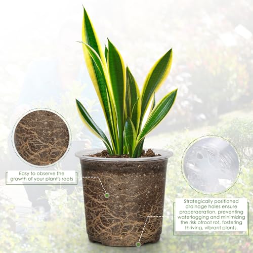 4/5/6/7 Inch Clear Nursery Pots for Plants with Sacuers 20 Pack, Plastic Flower Pots with Drainage Holes, Variety Pack Seedlings Garden Pot for Indoor Outdoor (4+5+6+7 inch) - Image 5