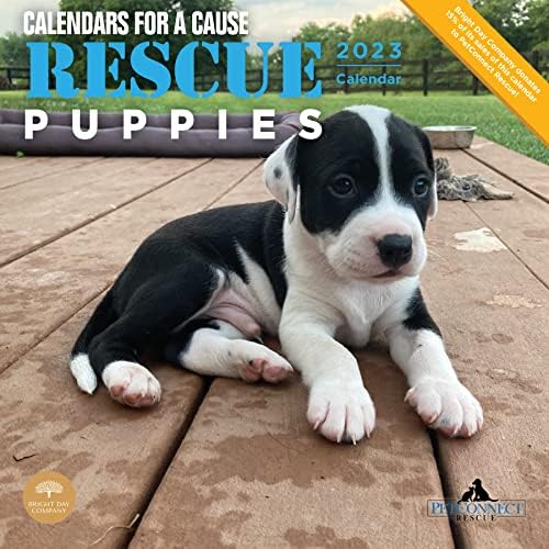 2023 Rescue Puppies Monthly Wall Calendar by Bright Day, Calendars for A Cause, 12 x 12 Inch