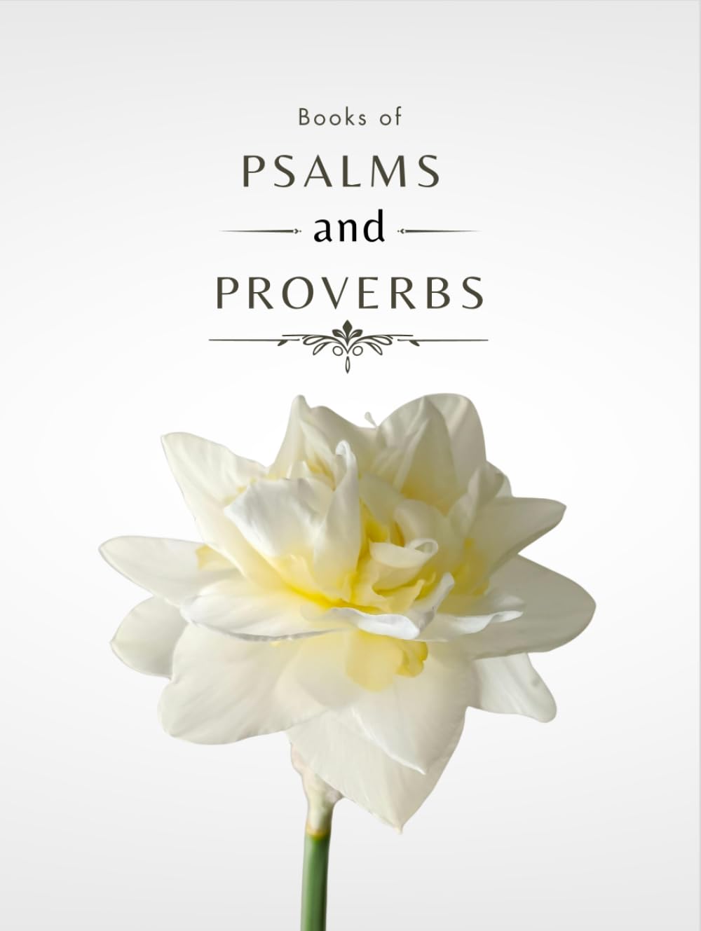 KJV Psalms and Proverbs: Wide Margin Journaling Edition with Single-Column Layout and Meditation Space