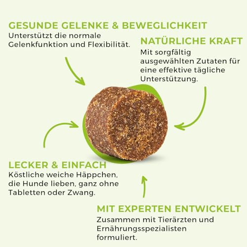 SwissVet Gelenktabletten für Hunde - 120 Kautabletten mit Grünlippmuschel, MSM, Glucosamin, Chondroitin & Collagen - Hochdosierte Gelenkunterstützung für Mobilität & Knorpel - Getreidefrei