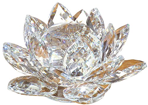 @̉ NX^ KX u CeA  nX  J^ TLb`[ (14)