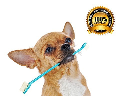 GOLF Cat & Dog Toothbrush Series 2 Pack, Mini Headed & Dual Headed Handle Toothbrushes for Small to Large Dogs, Puppies, Cats, Kitten, Most Pets