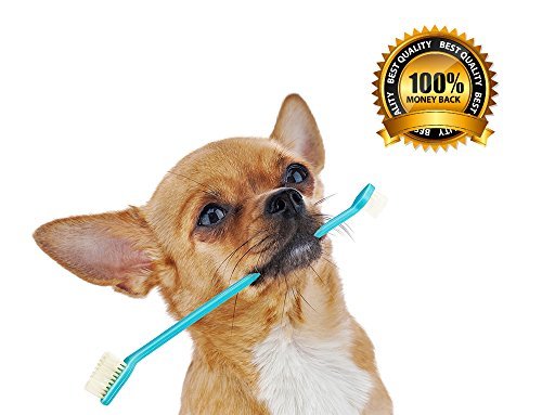 GOLF Cat & Dog Toothbrush Series 2 Pack, Mini Headed & Dual Headed...