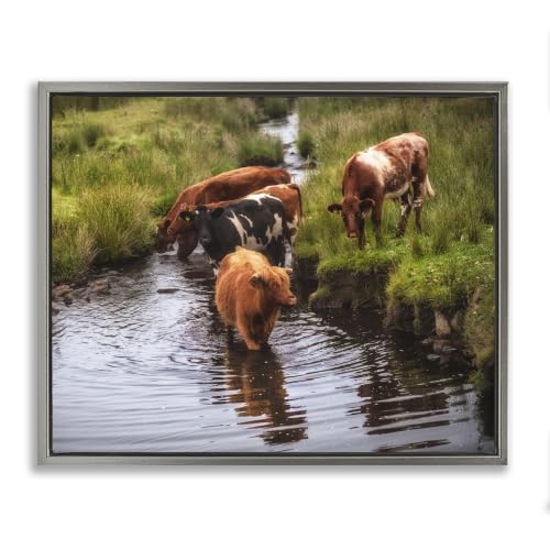 Rural Cattle Stream Landscape, 25 x 31 Inch Canvas in Floater Frame | Stupell Industries · By James Dobson · Great for farmhouse decor · Luster Gray frame · Made in USA