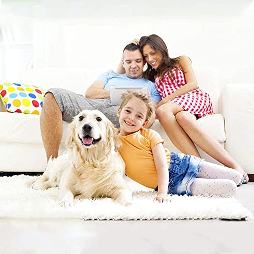 Doremi, accessorio per Bissell Crosswave 3 in 1