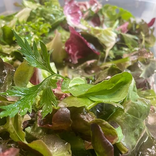 #34 野菜が出てきて嬉しいです！