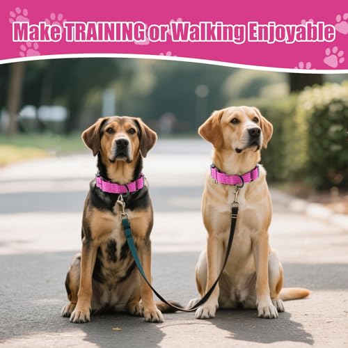 Image of Martingale Dog Collar, Reflective No Pull with Buckle, Pink, S | Escape Proof without choking ,Training Collar with Quick Release Buckle, Adjustable Heavy Duty Nylon collars for S M L Dogs