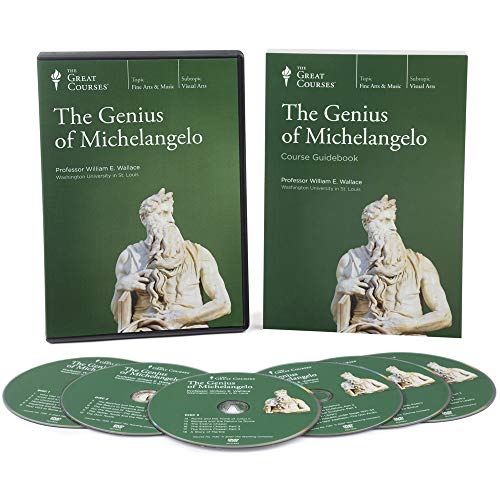 Entender El genio de Michelangelo mediante 6 DVDs con guía 2