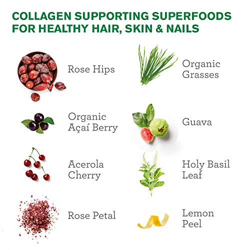 Amazing-Grass-Green-Superfood-Beauty-Greens-Powder-with-Biotin-Collagen-Supporting-Superfoods-Strawberry-Lemonade-30-Servings