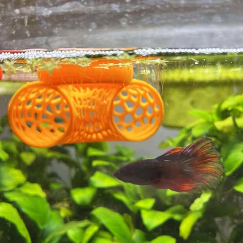 Image of Floating Betta Tunnel for Betta Training. Interactive Training & Enrichment Toy for Betta Fish - Stress Relief & Exercise Accessory, Floating Betta Fish Toys