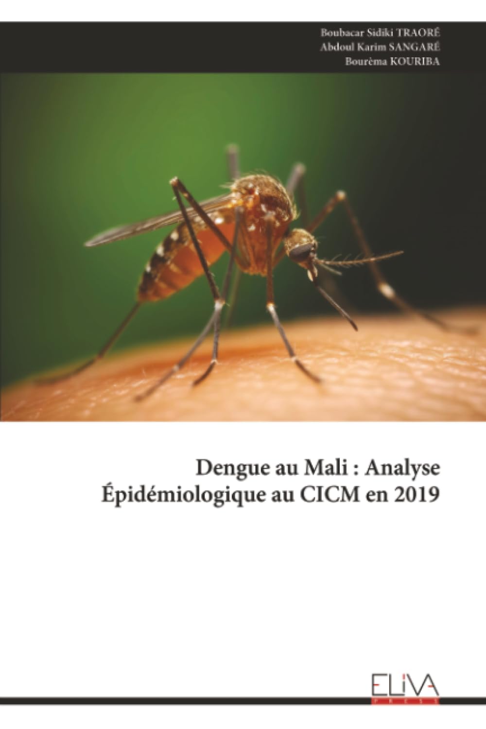 Dengue au Mali : Analyse Épidémiologique au CICM en 2019