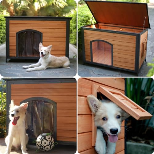 Dog-House-with-Iron-Frame