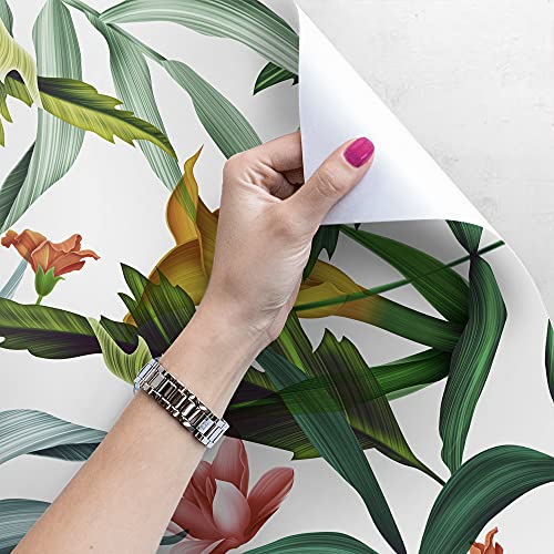 Papier peint feuilles tropicales grand format pour masquer les murs