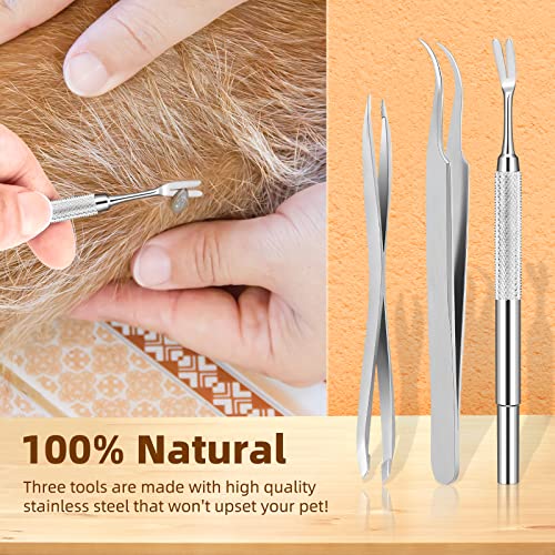 The 24 Best Cat Tick Remover Tools of 2024 [Verified] Cherry Picks