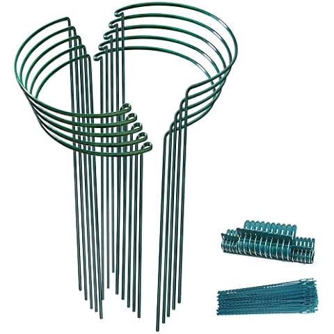 WEYHTF 10x Plant Support Stakes 25x60cm,Metal Plant Stakes for Garden,Half Round Cheese Plant Support Ring Cage for Peonies Monstera Hydrangeas Roses Vegetables Tomatoes… Cover