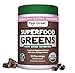 Superfood Mocha Greens by Feel Great 365, Doctor Formulated, Organic, Dairy-Free, and Vegan Packed with Real Green Vegetables, Polyphenols and Probiotics. Best Tasting. Helps Improve Digestive Health