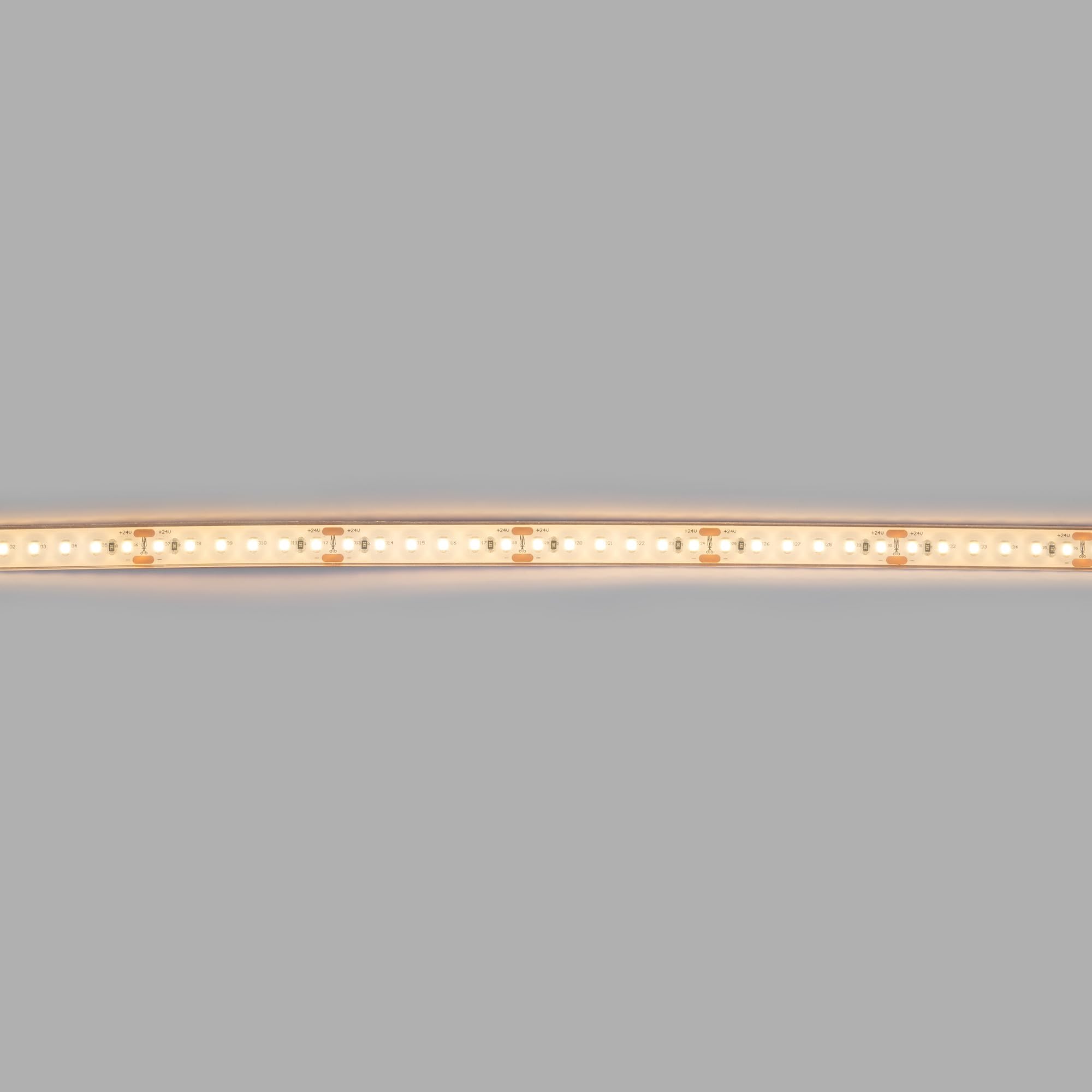 B·LED BARCELONA LED - Tira LED 24V DC sumergible - Monocolor - 9.6W/m - 12mm - IP68-10 metros - 120ch/m - Blanco Cálido