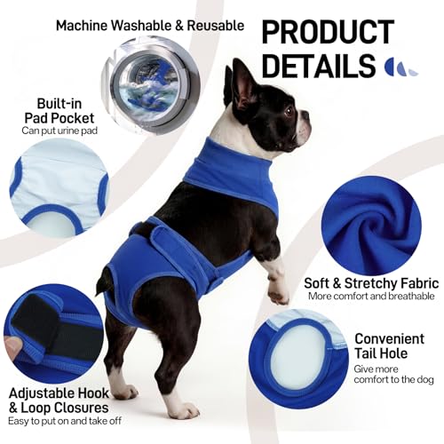 Image of BRKURLEG Female Dog Diapers with Suspender, Washable & Reusable, Blue M