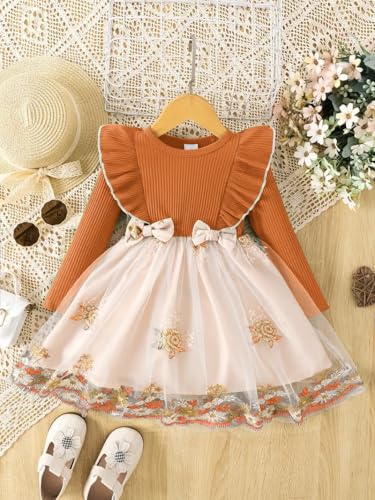 Image of Tagas Girls' Princess Dress for Girls ||Fancy Dress|| Birthday Frock for Girl