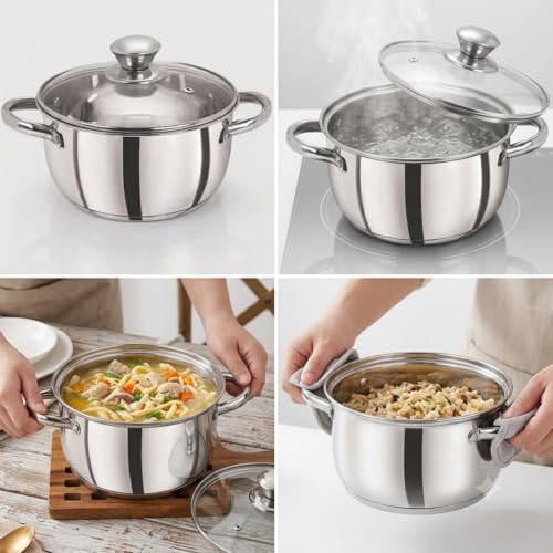Image of Stainless Steel with Toughen Glass Lid Handi Set /Dutch Oven Induction & Gas Stove Friendly Cook and Serve Handi Set with Toughen Glass Lids with Dishwashing Rag Free