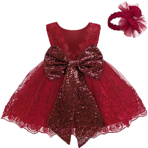 LZH Baby Girls Lace Embroidery Dress with Headwear (0-30m)