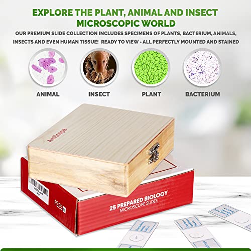 Amscope Ps25 Prepared Microscope Slide Set For Basic Biological Science Education, 25 Slides, Includes Fitted Wooden Case Brown #TOP3