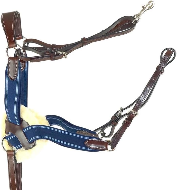 5-Way Blue Breastplate