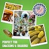 Jersey Pickles - Hot Dill (Half Gallon) - Fresh, Keto-Friendly, and Perfect for Snacks, Sandwiches, or Salads The perfect Pickle Jars Cornichon for Families or Gatherings
