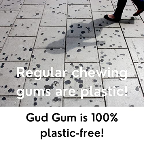 Image of Gud Gum- Natural, Plastic Free Chewing Gum- Pack of 2- No added artificial colours, flavours & sweeteners (Charcoal Mint Tin 15g)