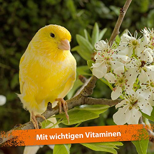 Ida Plus - Mispusan Pulver 200 g - Mineralfuttermittel mit Vitamin D3, Calcium & Spurenelementen für Amphibien, Reptilien & Vögel - Wellensittich, Kanarienvogel, Papageien & Bartagame - Mineralstoffe