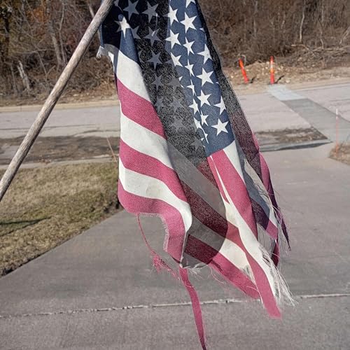 The Leaves of a Victim never more with Steven Wilson Titelbild