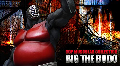 Amazon.co.jp: 匿名キン肉マン CCP Muscular Collection Vol.35