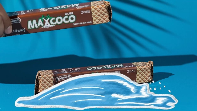 Amazon.com: Colombina Maxcoco Coconut Cream Wafer Cookies