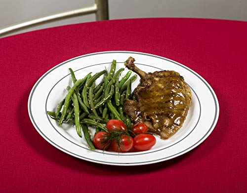 Select Settings [50 Count] (10.25 Inch) Silver Rim Plastic Dinner Plates #TOP4