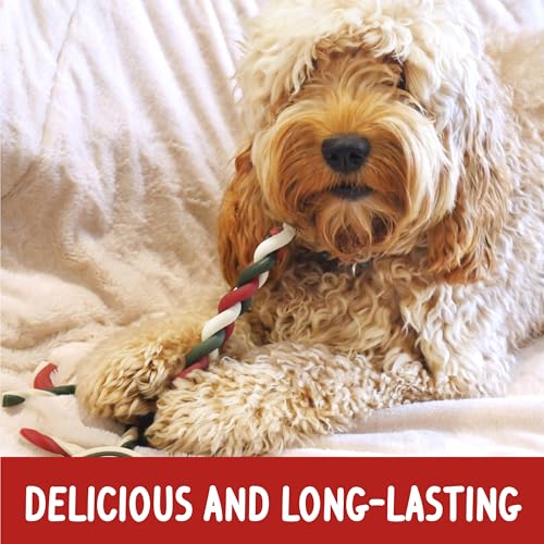 Rosewood Cupid & Comet Hundeleckerlis 280g – Ohne Rohleder, mit echtem Huhn und Süßkartoffel – Sicherer, gesunder Weihnachtssnack für Hunde – Geschenkidee für Weihnachten oder besondere Anlässe