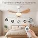Imagen de Lirixia Ventilador De Techo Con Luz Y Mando A Distancia
