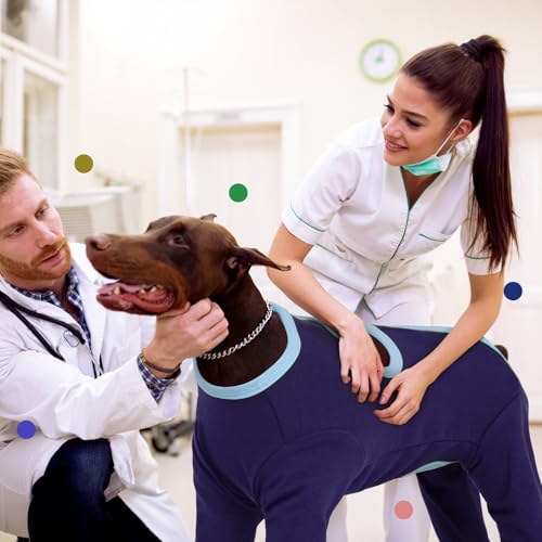 IECOii-Hunde-Genesungsanzug,Anti-Leck-Hinterbeinmanschette, Ellbogenschützer für mittelgroße und große Hunde, Hundekegel-Alternative zum Stoppen des Leckens von Beinwunden,S