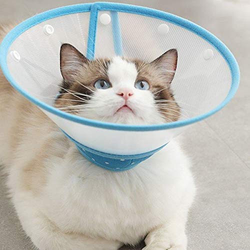 L GUxXJ[ \tg J[ ˂ GUxX  p  r h~ ی GJ y R p 畆a  ΍ ybgpi j̎q ̎q ybgObY Lpi pi GUxX p r S M L XL